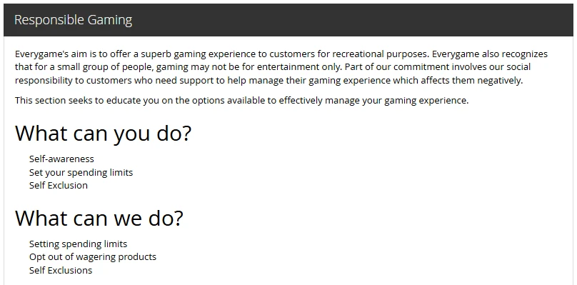 A screenshot of the responsible gaming terms at Everygame Casino