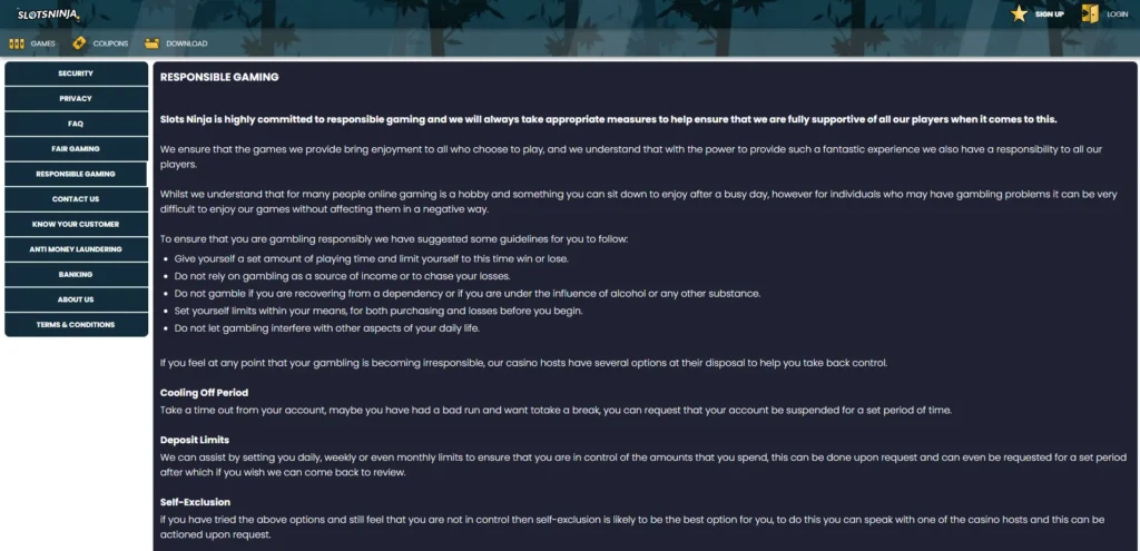 How Slots Ninja ensure responsible gaming