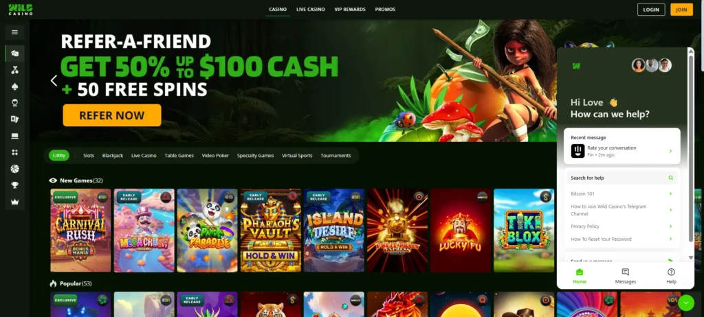 A screenshot of the customer support in action at Wild Casino