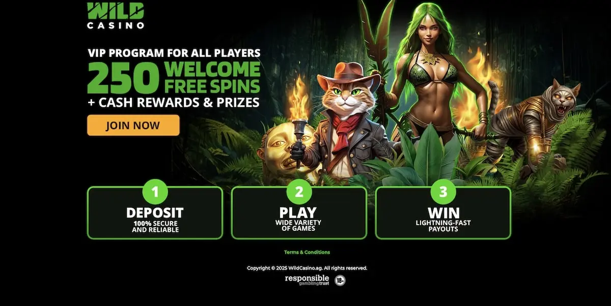 250 free spins welcome bonus at Wild Casino