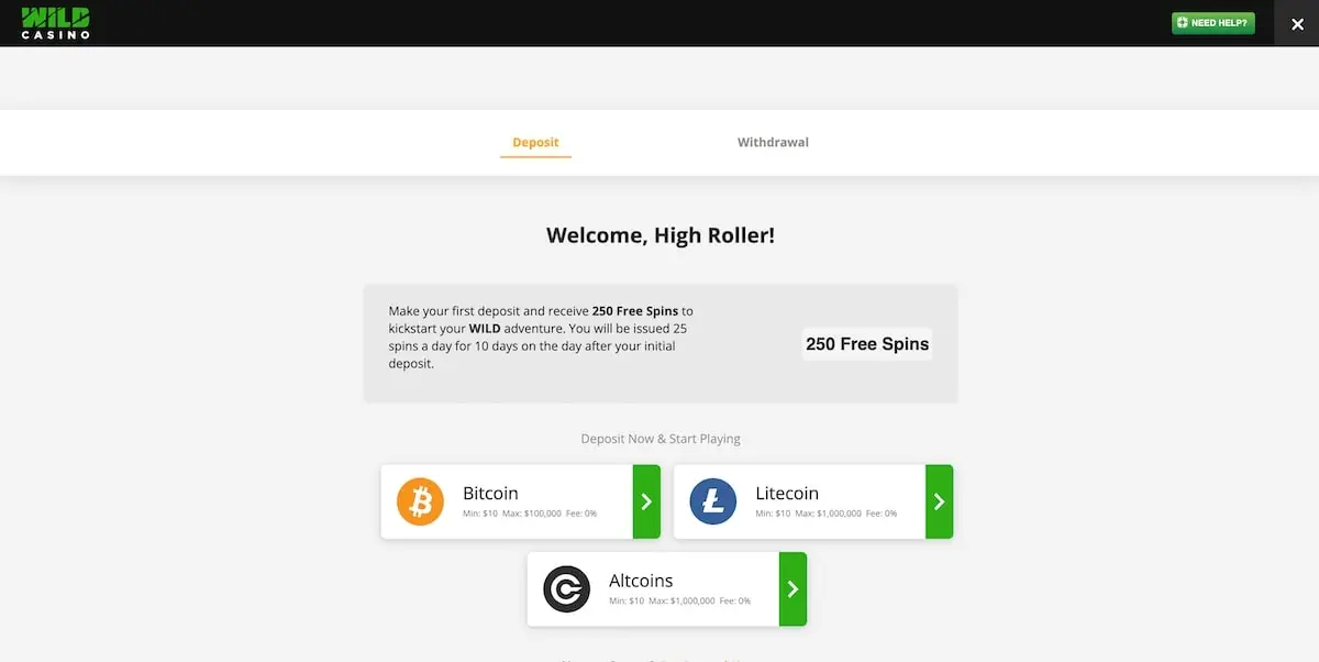 Wild casino deposit section screenshot